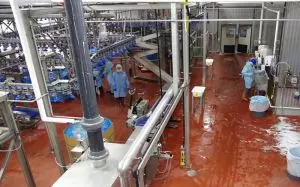 Sơn Epoxy kháng khuẩn - Hệ thống SuKa ESW 102A
